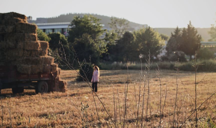 Rewolucja w prognozowaniu pogody dla&nbsp;rolników
